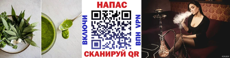 Cannafood конопля  Кедровый 