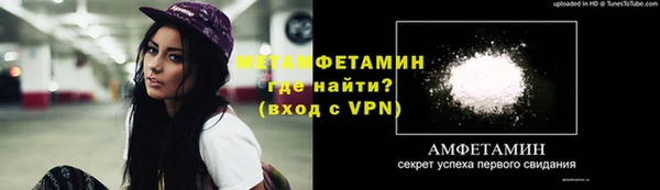 apvp Ельня