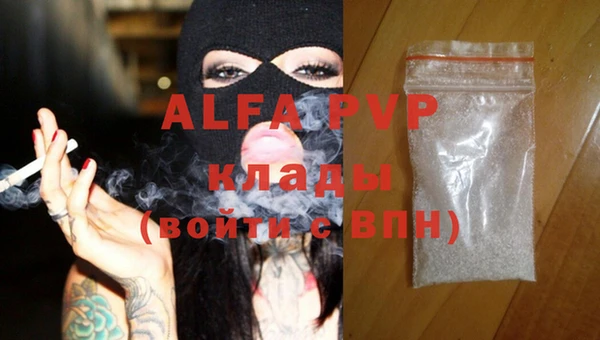 стафф Осинники
