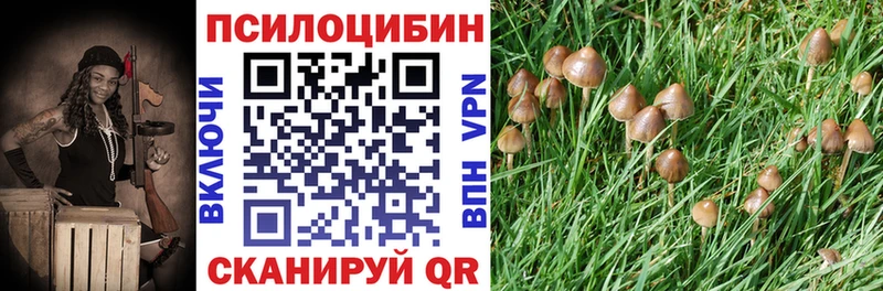 гидра вход Кедровый Галлюциногенные грибы Magic Shrooms