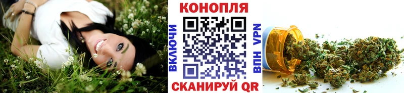 Бошки Шишки ГИДРОПОН  гидра   Кедровый 